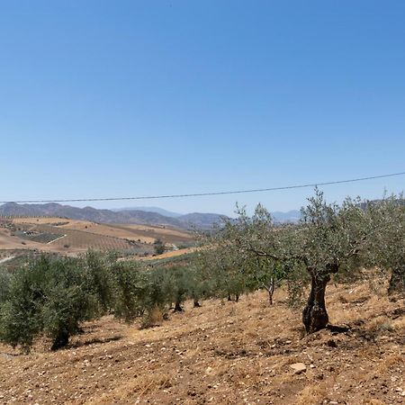 Casa Los Olivos Alora - Caminito Del Rey Bagian luar foto