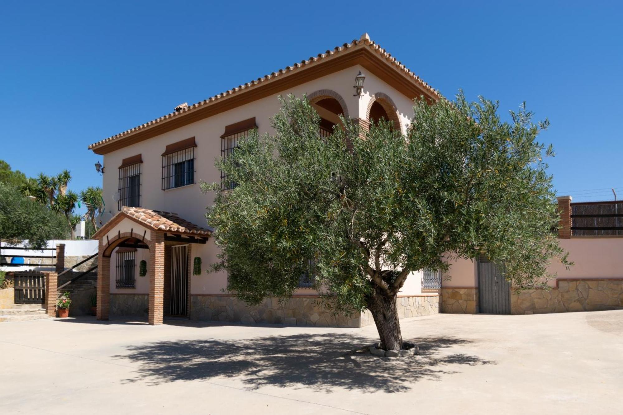 Casa Los Olivos Alora - Caminito Del Rey Bagian luar foto