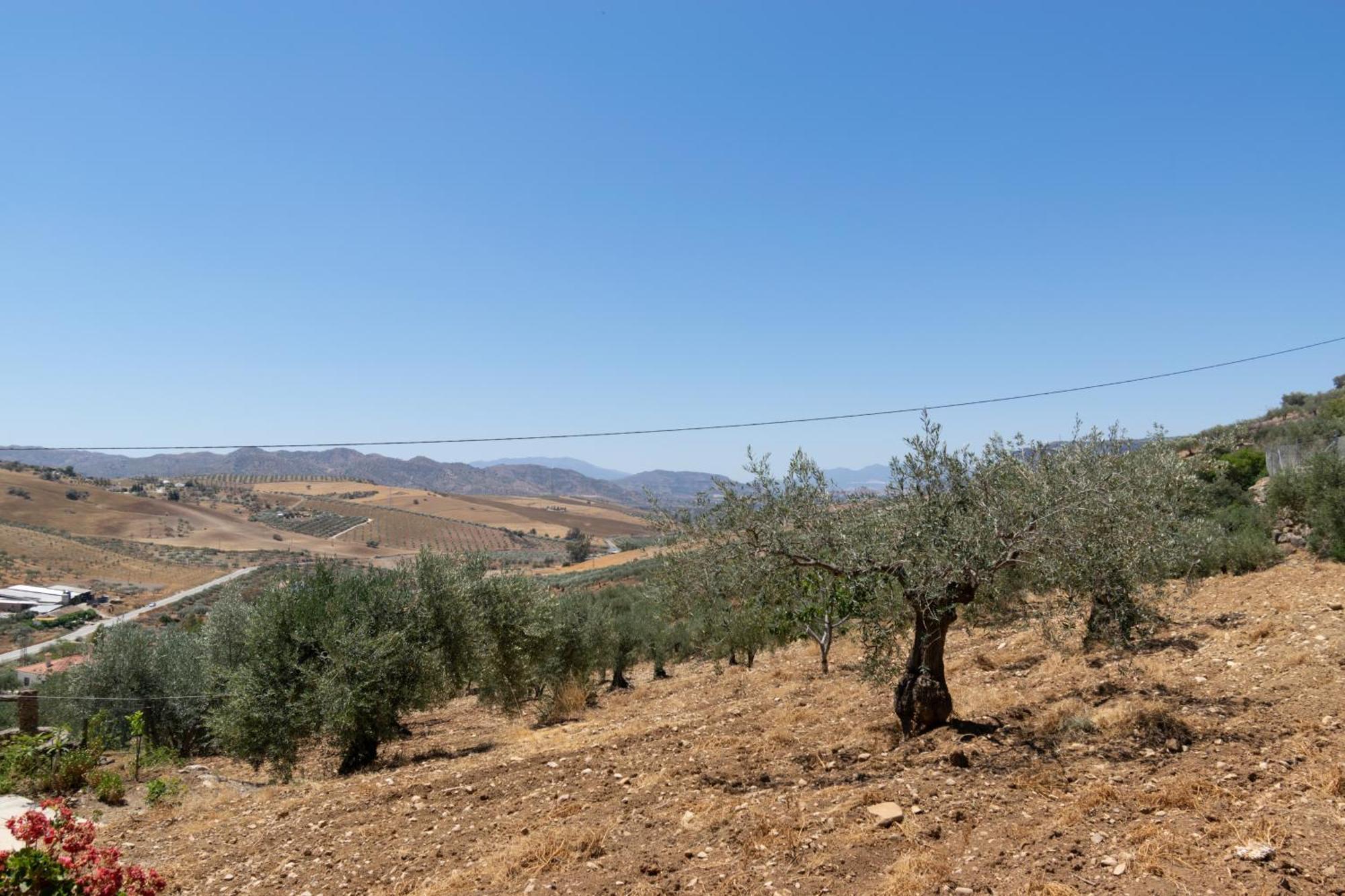 Casa Los Olivos Alora - Caminito Del Rey Bagian luar foto